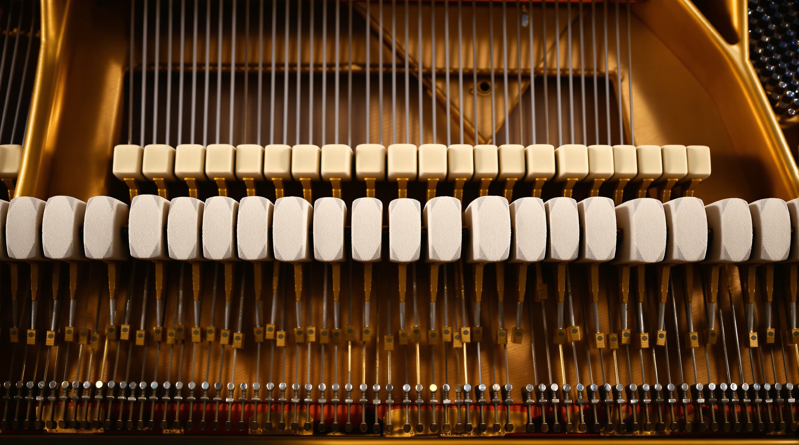 The row of felt hammers and action mechanism inside a grand piano